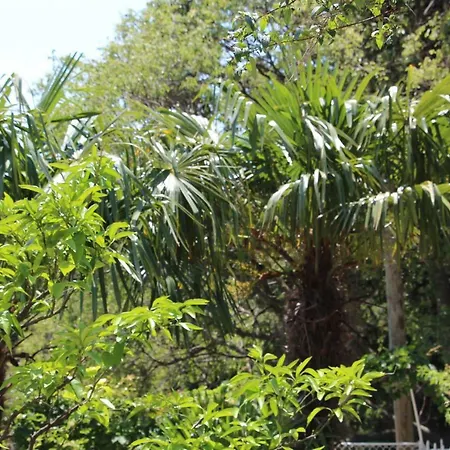 Apartman Kuca Za Odmor Isabella Dubrovnik