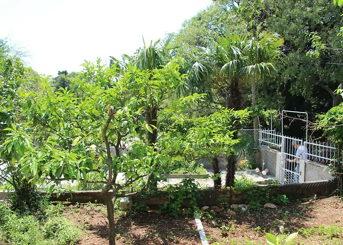 Kuca Za Odmor Isabella *